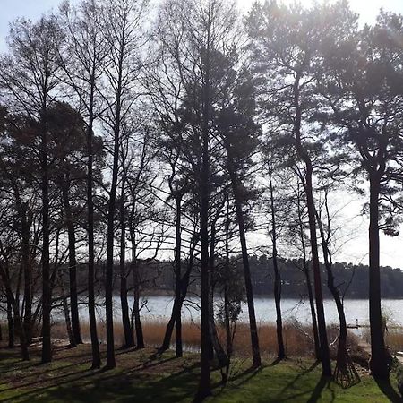 Haus Wilma Gruene Idylle Im Wald Direkt Am See 文迪施里茨 外观 照片