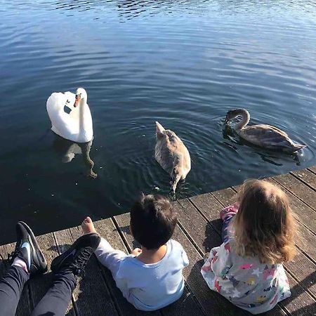 Haus Wilma Gruene Idylle Im Wald Direkt Am See 文迪施里茨 外观 照片