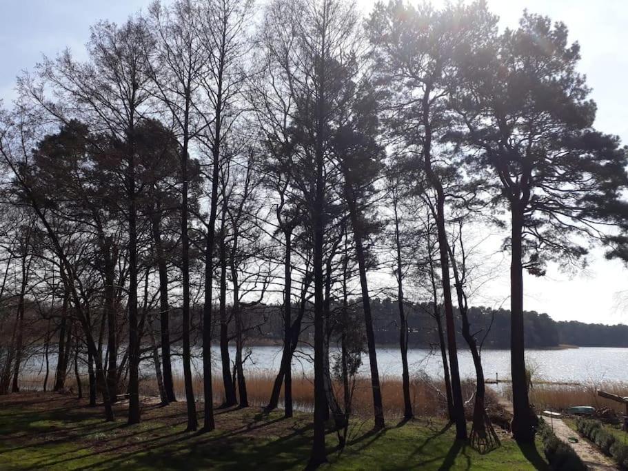 Haus Wilma Gruene Idylle Im Wald Direkt Am See 文迪施里茨 外观 照片