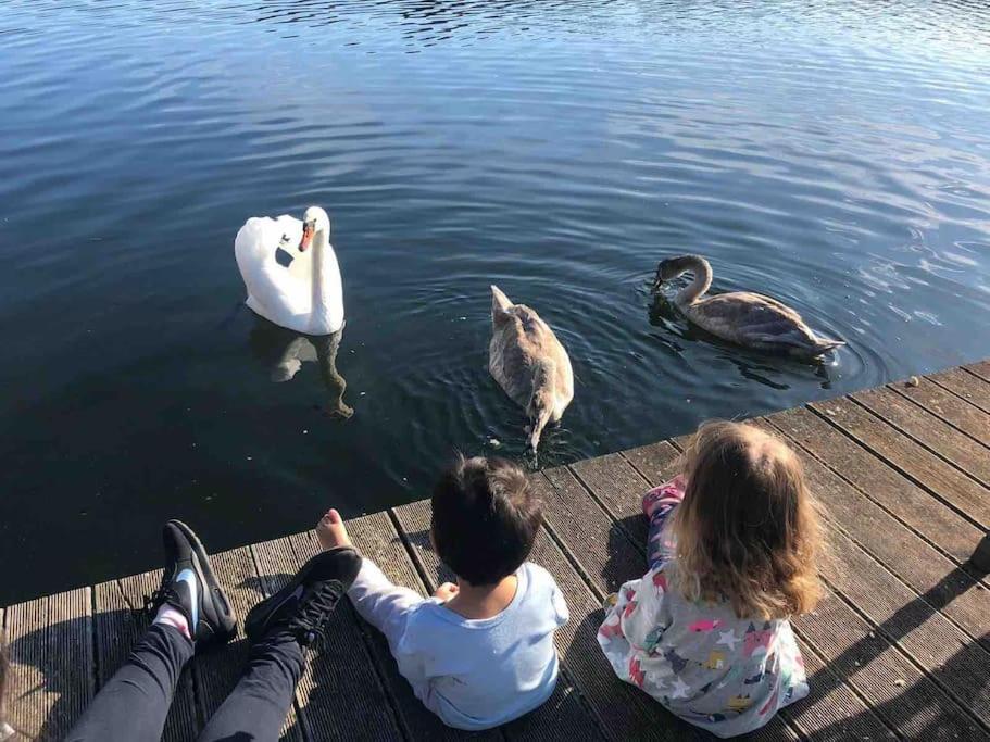 Haus Wilma Gruene Idylle Im Wald Direkt Am See 文迪施里茨 外观 照片