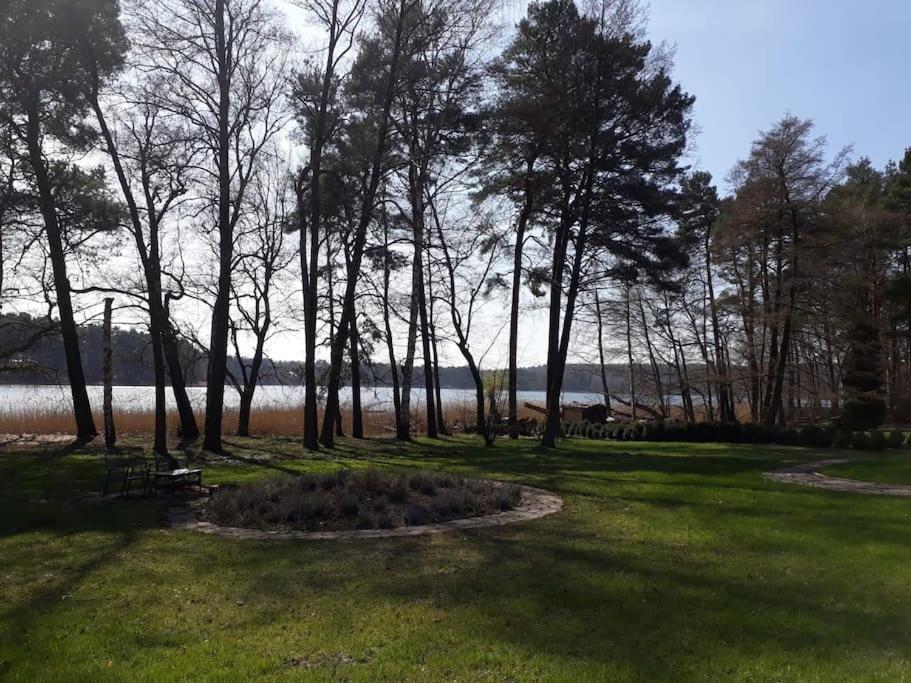 Haus Wilma Gruene Idylle Im Wald Direkt Am See 文迪施里茨 外观 照片
