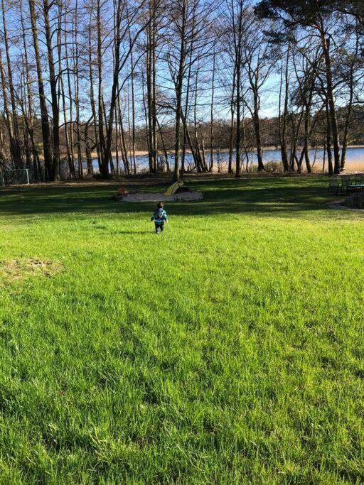 Haus Wilma Gruene Idylle Im Wald Direkt Am See 文迪施里茨 外观 照片