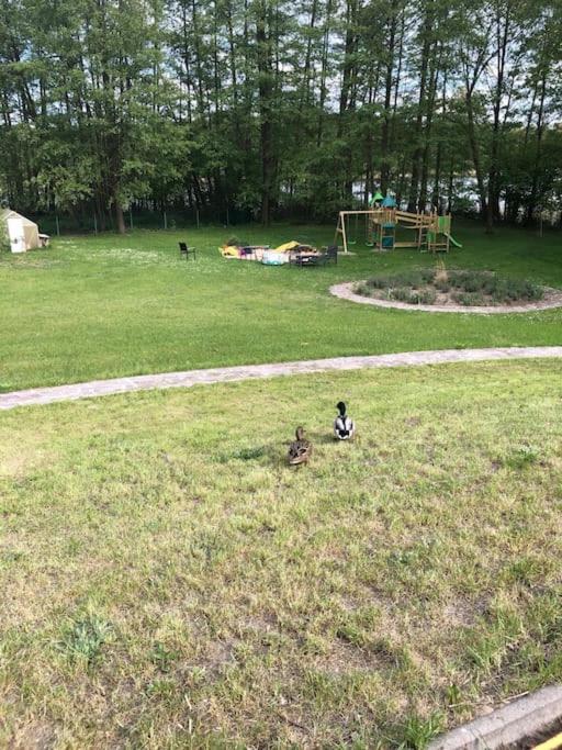 Haus Wilma Gruene Idylle Im Wald Direkt Am See 文迪施里茨 外观 照片