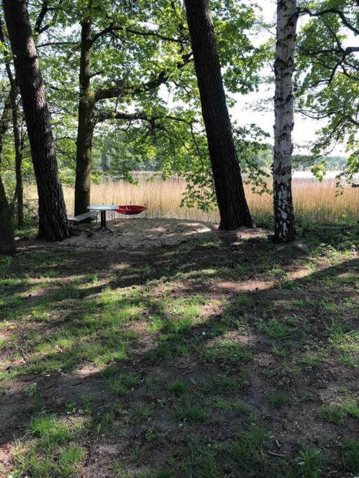 Haus Wilma Gruene Idylle Im Wald Direkt Am See 文迪施里茨 外观 照片